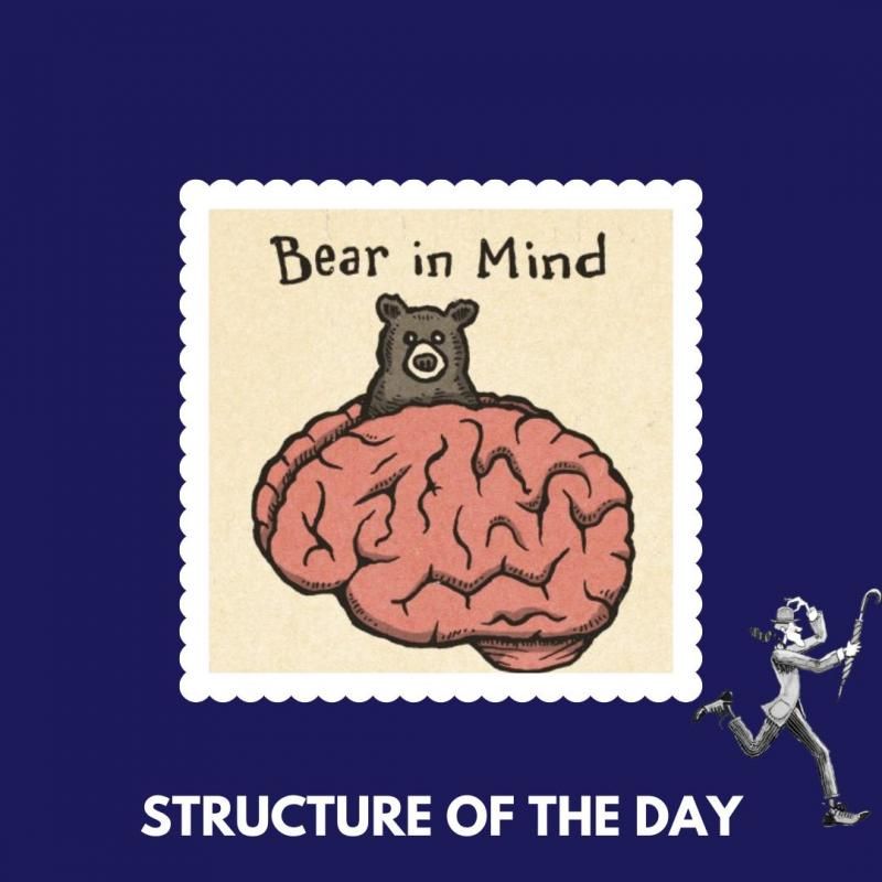 Advanced structure of the day : "to bear in mind"